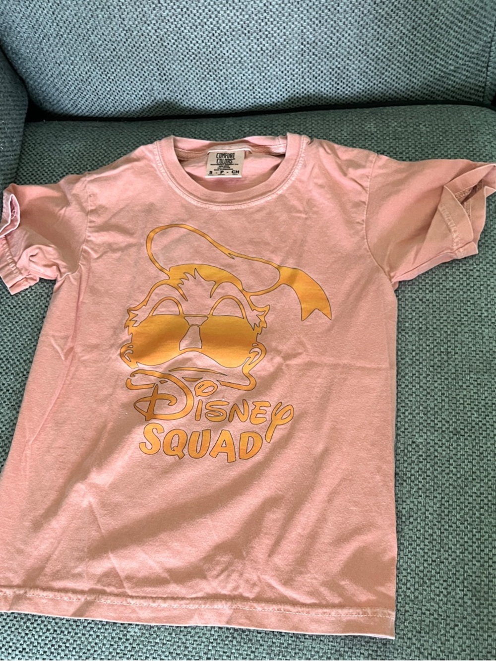Comfort Colors Pink Kids Tee with Gold Disney Squad Graphic